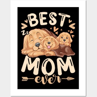 Best Mom Ever Golden Retriever Mother  Puppies Mothers Day Posters and Art
